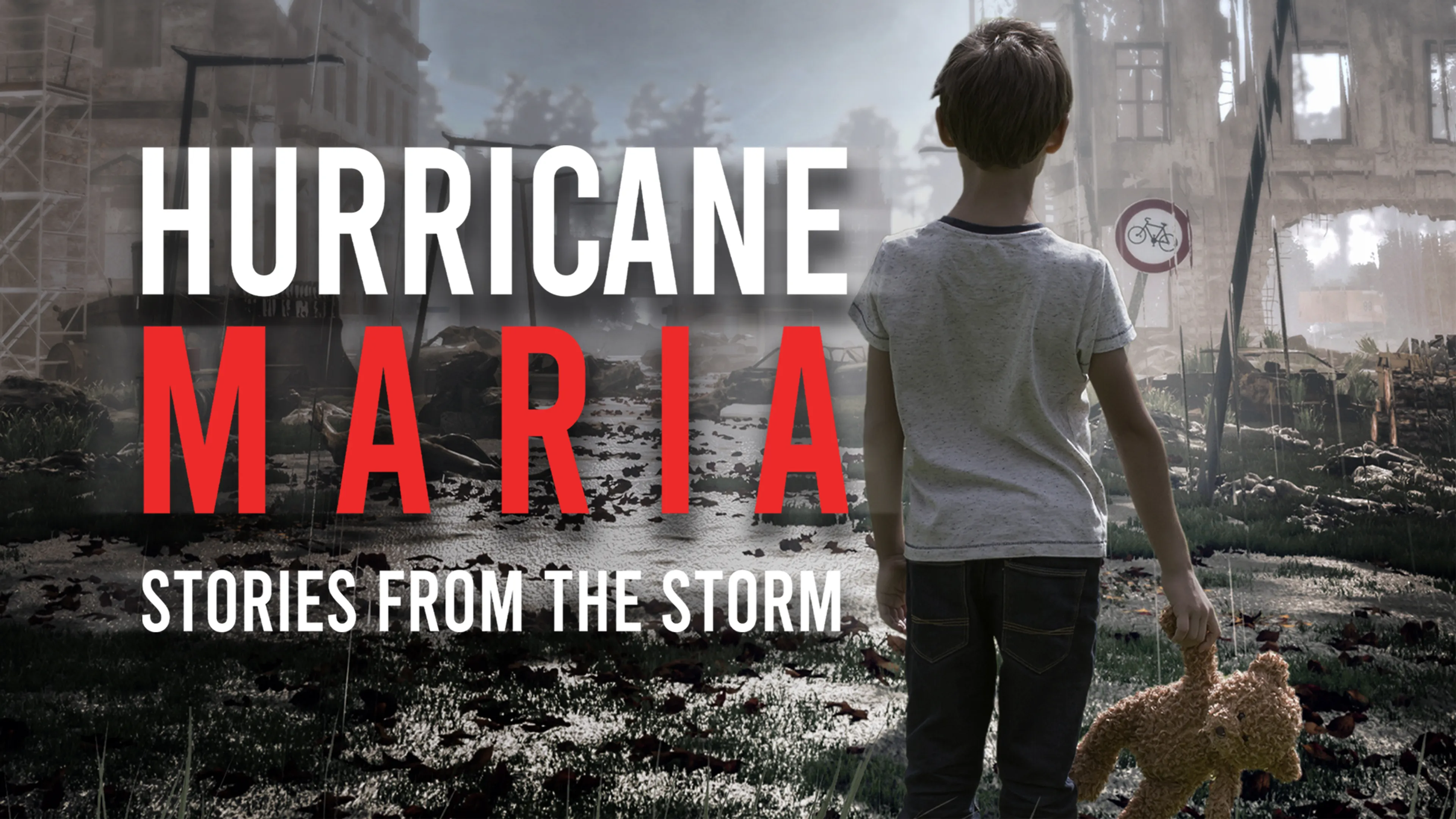 Hurricane Maria: Stories From the Storm poster